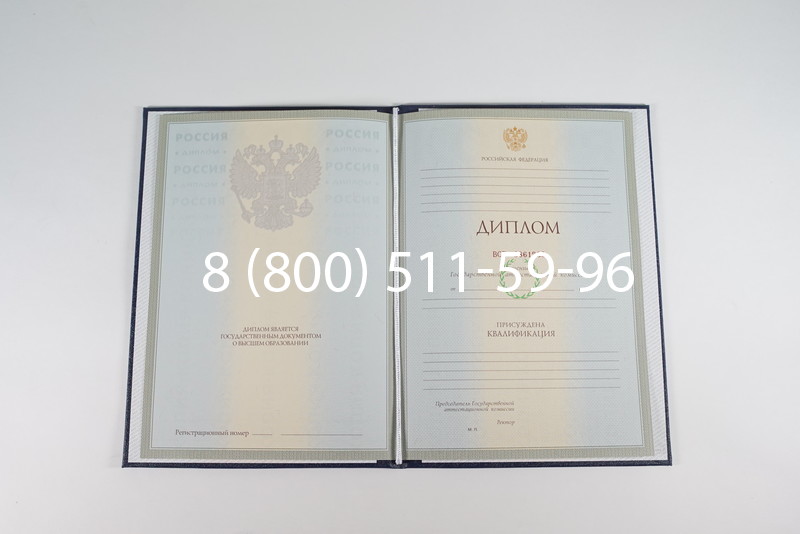 Диплом о высшем образовании 2003-2009 годов в Кургане